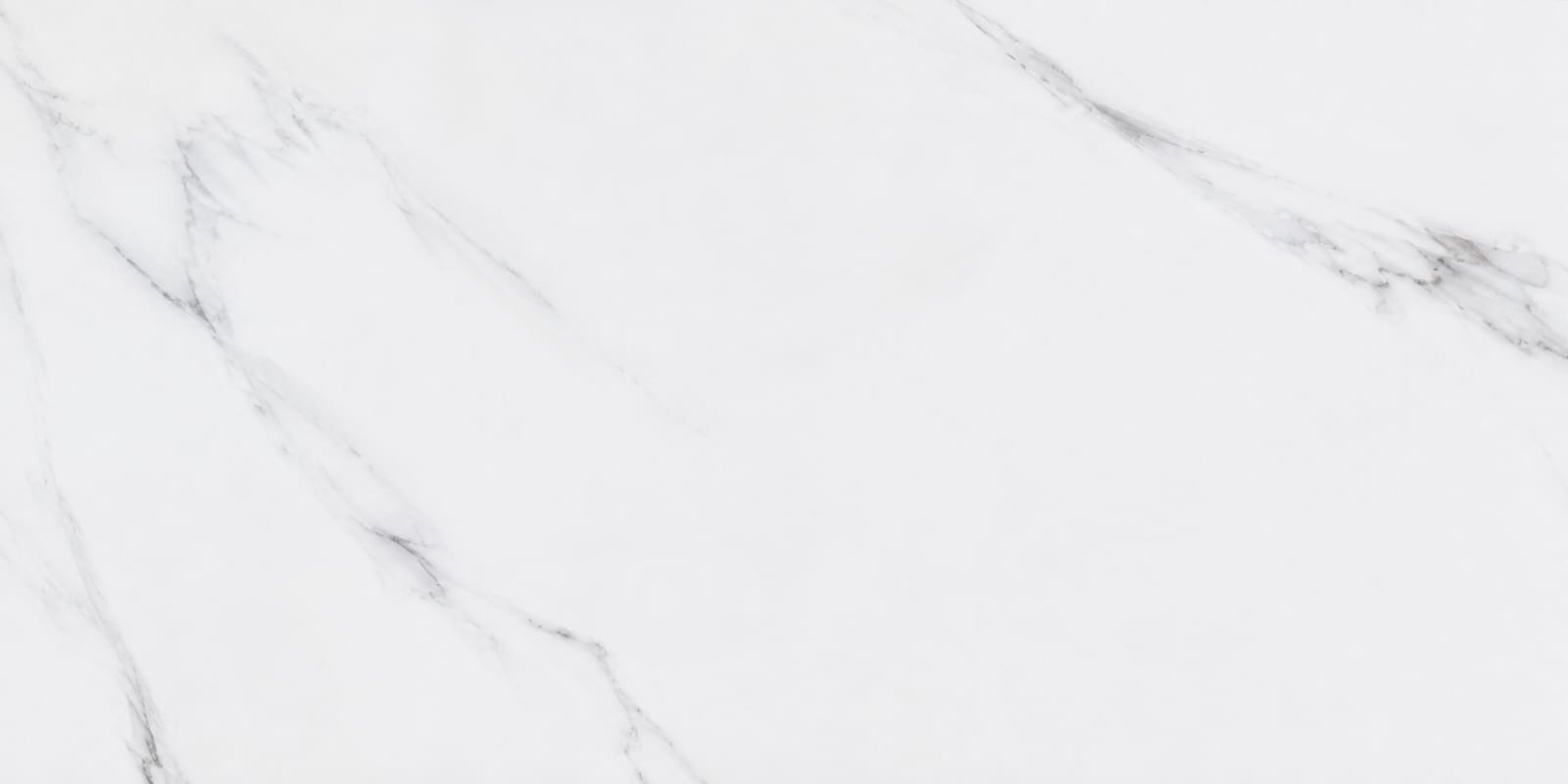 CERANOSA 60X120 CR36126616
